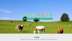 常寧市*興冶化實業(yè)有限責任公司制作網(wǎng)站基本流程