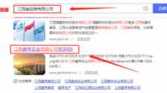 江西建*實業(yè)有限公司網(wǎng)站建設營銷型案例作品