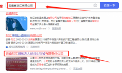 云南怒江州東*大峽谷生物城有限責(zé)任公司網(wǎng)站建設(shè)新一代自助建站、智能建站系統(tǒng)