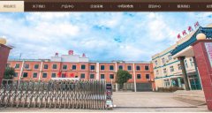 安徽新*藥業(yè)有限公司網站建設有創(chuàng)意的主題設計