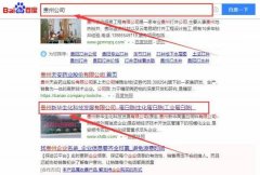 貴州*華生化科技發(fā)展有限公司網站建設平面設計案例作品