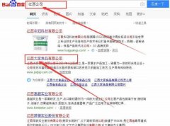 江西大*食品有限公司網(wǎng)站建設案例欣賞