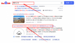 遼寧*業(yè)科技有限公司網站建設優(yōu)秀設計作品