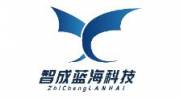 廈門市智成藍海科技有限公司網(wǎng)站制作案例