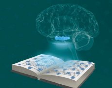 掌握網(wǎng)站SEO優(yōu)化更新，解鎖流量密碼